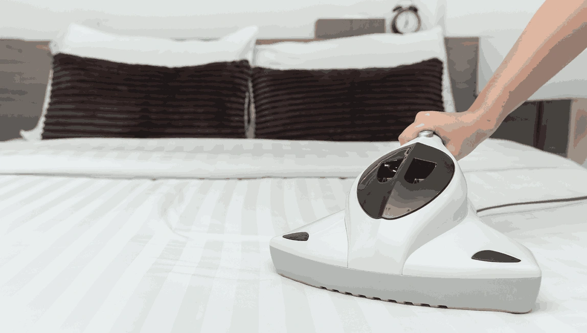 Professional Mattress Cleaning Russells Bridge